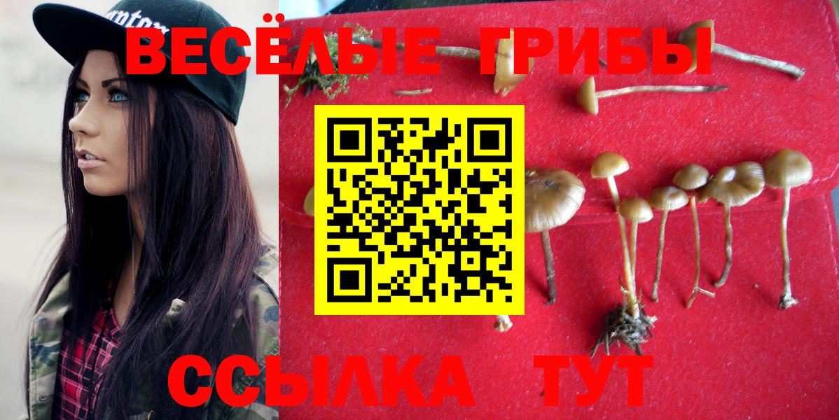 Галлюциногенные грибы MAGIC MUSHROOMS Гусиноозёрск